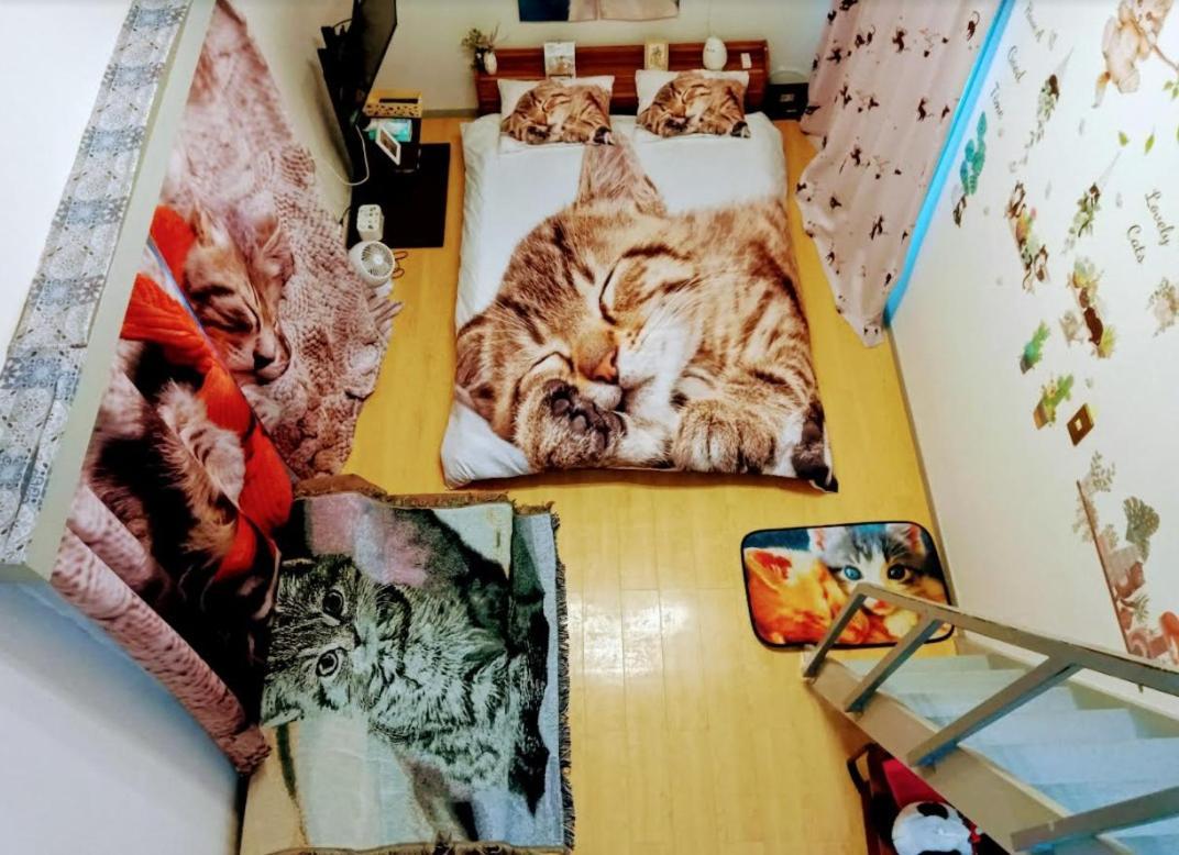 Апартаменты Tokyo Shibuya Shinjyuku Cat House ! Экстерьер фото